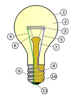 Light bulb types