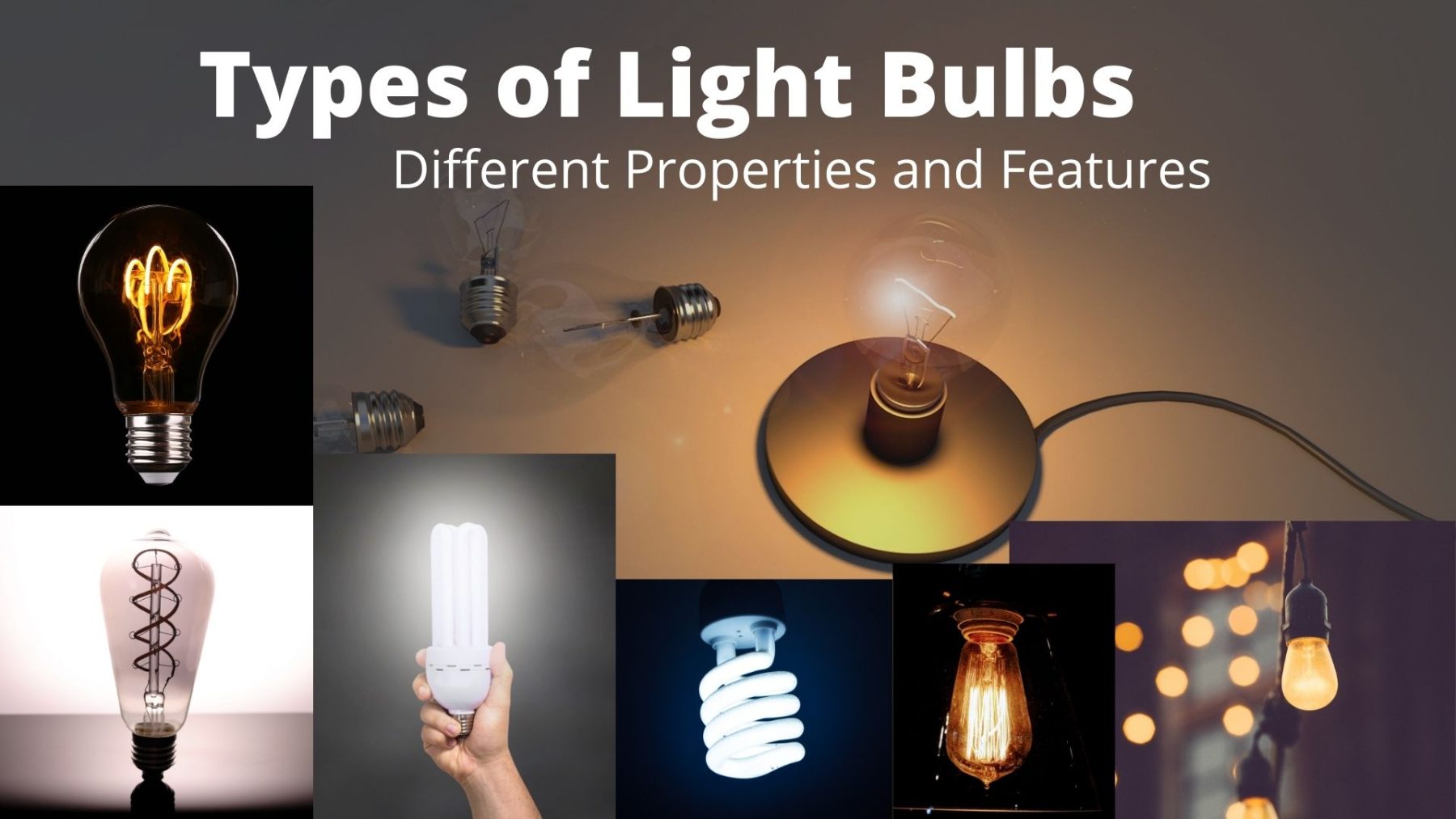 Types of Light Bulbs – Different Properties and Features