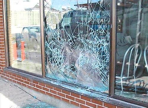 window film