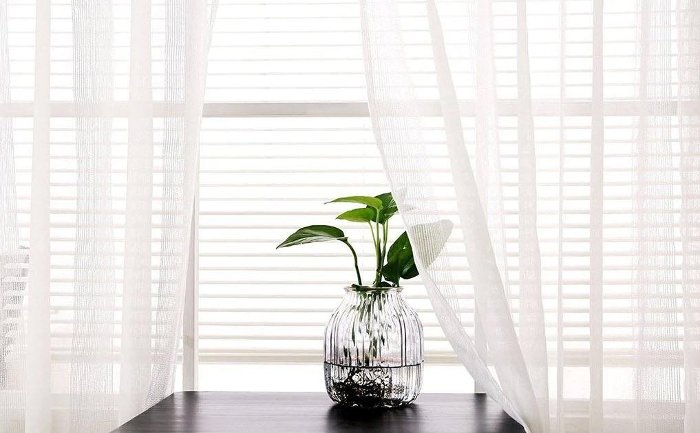Curtains