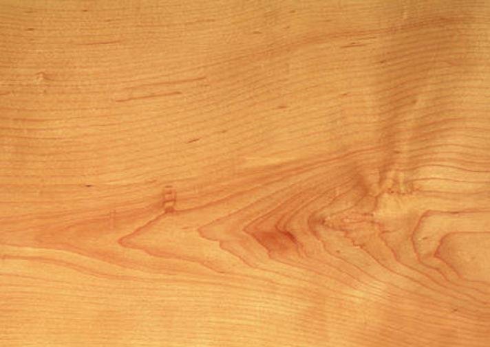 Types of wood species