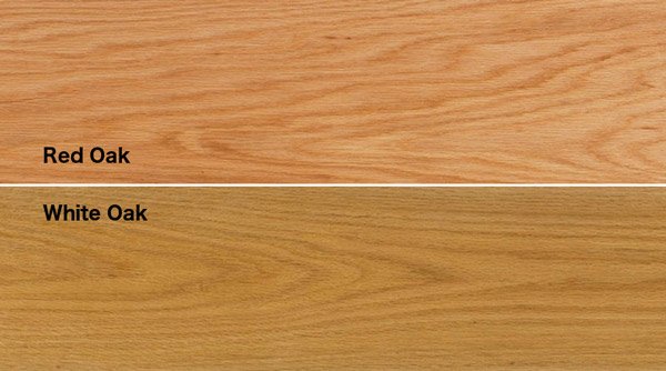 Types of wood species