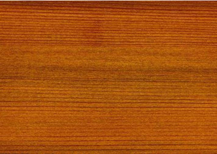 Types of wood species