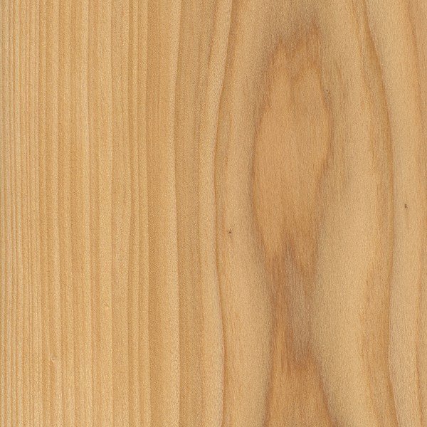 Types of wood species