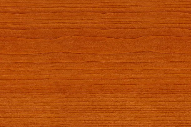 Types of wood species