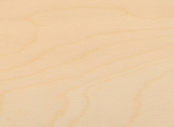 Types of wood species