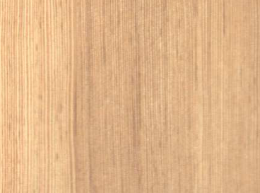 Types of wood species