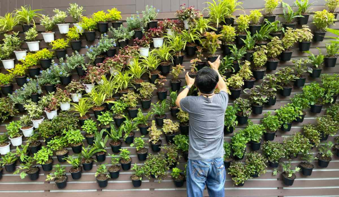 Vertical Gardening