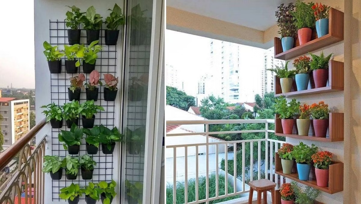 Vertical Gardening