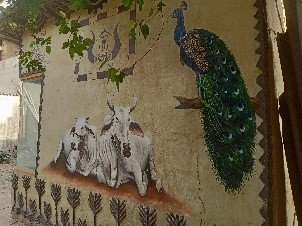 Cow dung as a building material