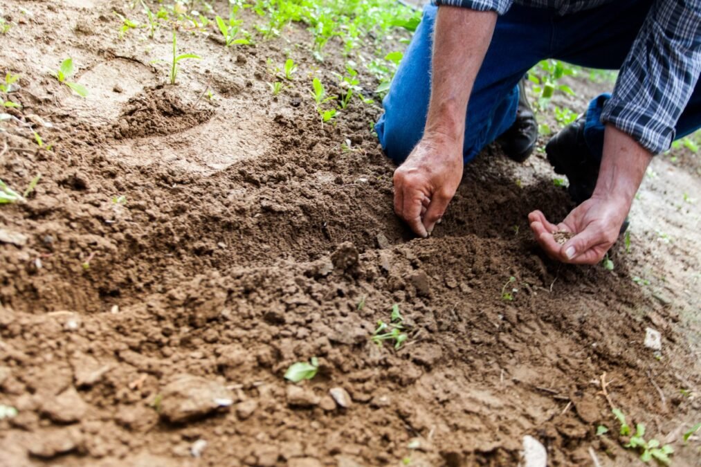 landscaping challenges