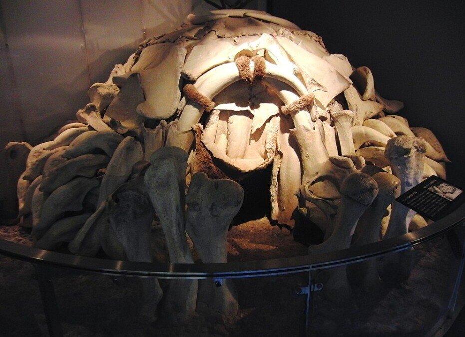dwelling made with mammoth bones 2