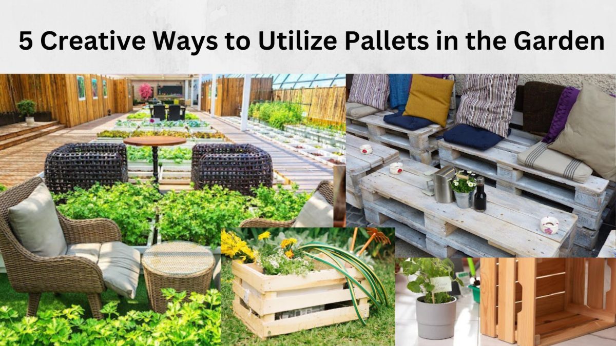 5 Creative Ways to Utilize Pallets in the Garden