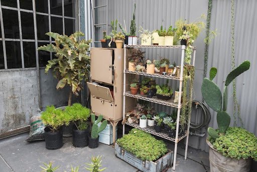 Vertical garden pallets