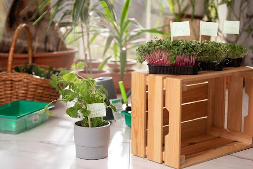 Horizontal pallet planters