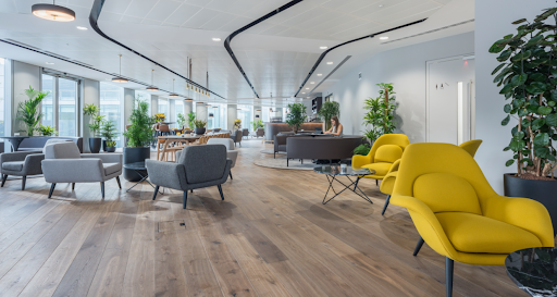 Interior Fit out